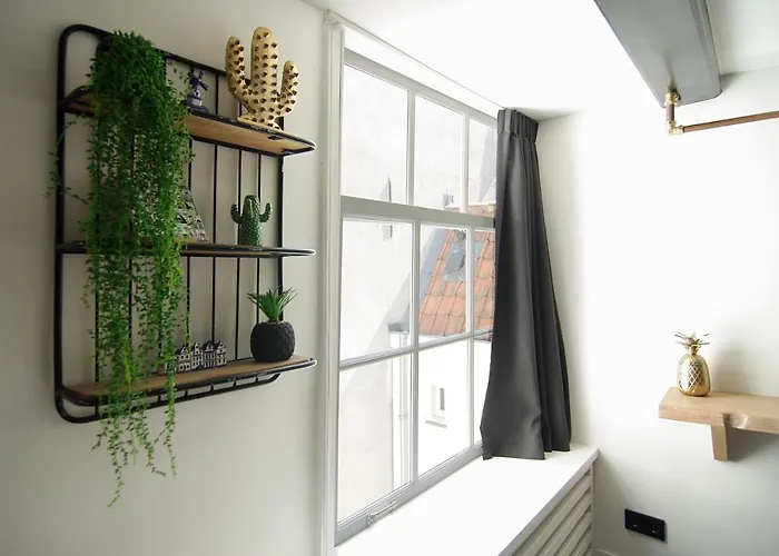 Joz, Historic In Centre Of